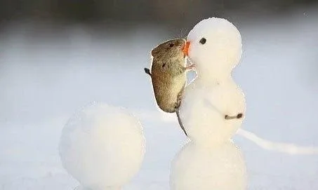 함냐