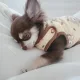 쥔쓰
