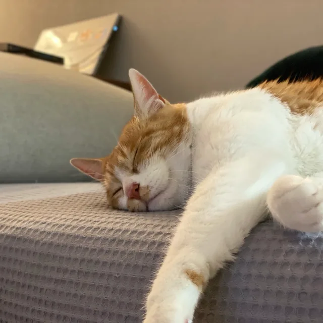 쏘옥