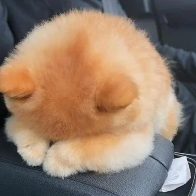 바나나킥