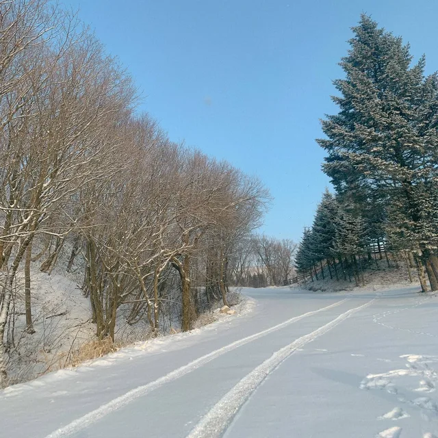 파라니
