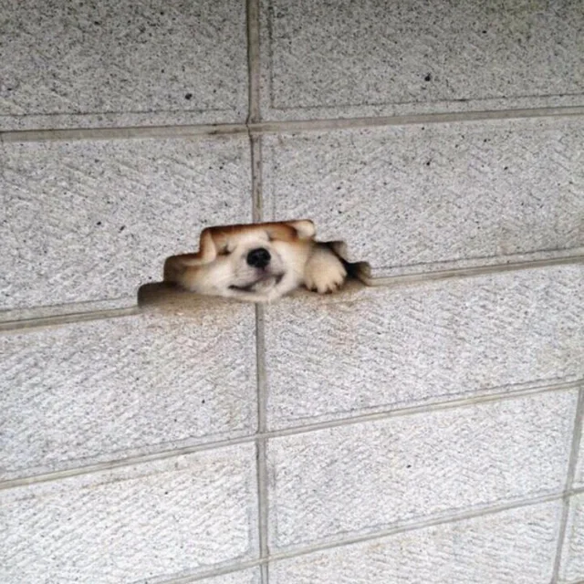 동동