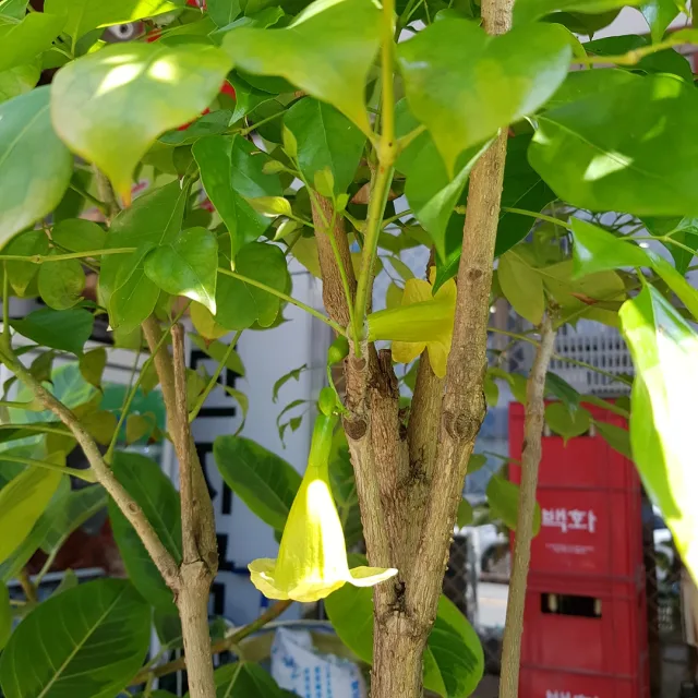 인성