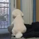 용용드래곤