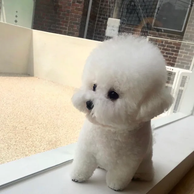 두부