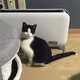 카인