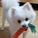 최니