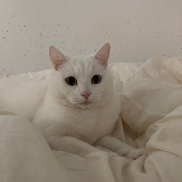 리뷰 프로필 이미지