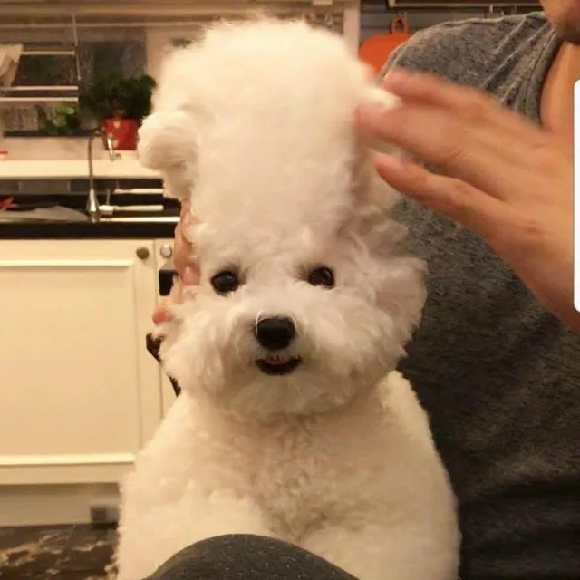 끝내주게숨쉬기