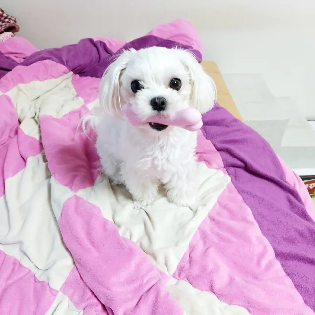 유리유