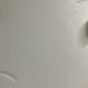 다팔아
