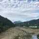 푸른술사