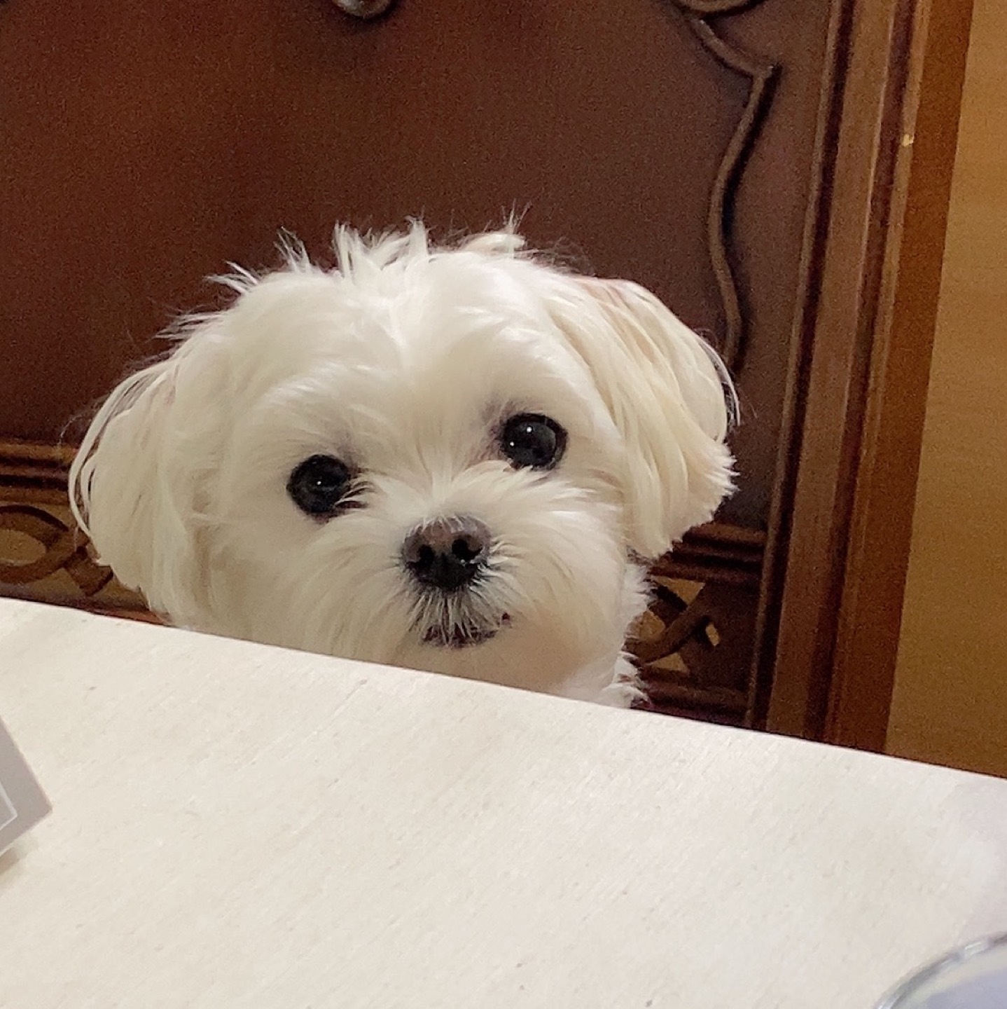 콩이짱