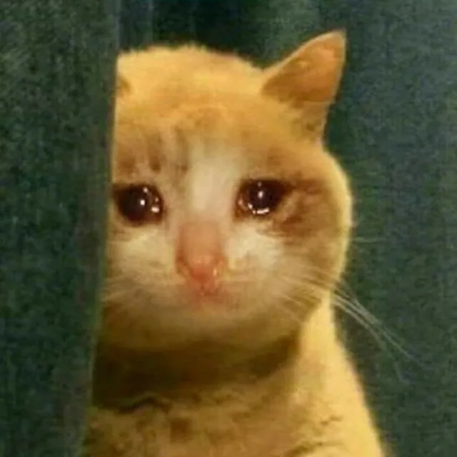골드
