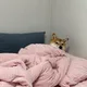 시바모찌