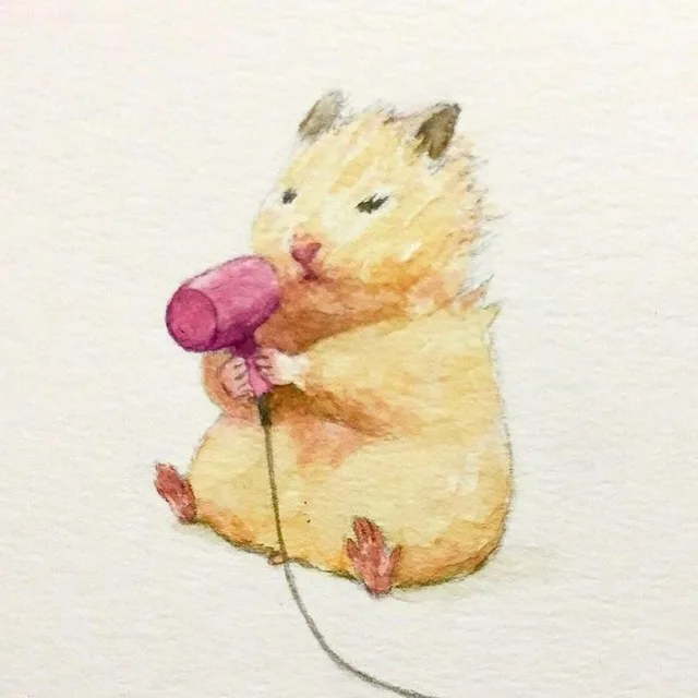완성