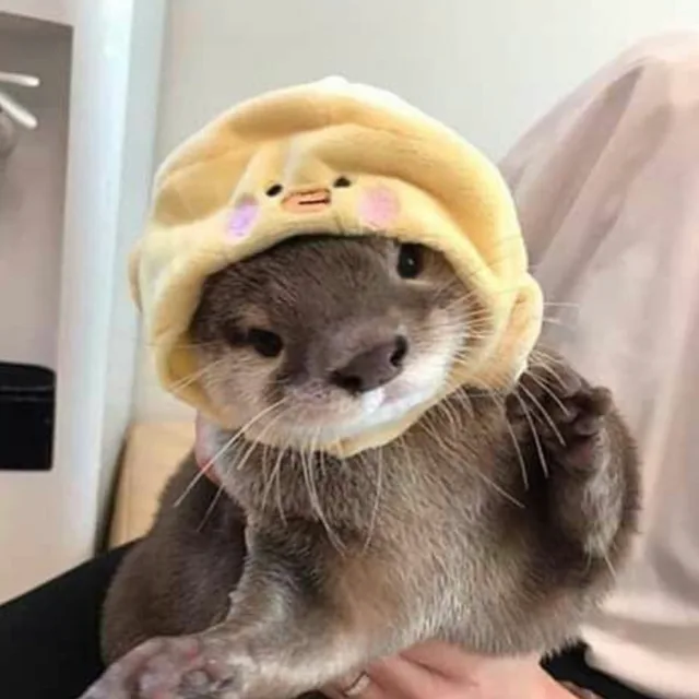 냠냠