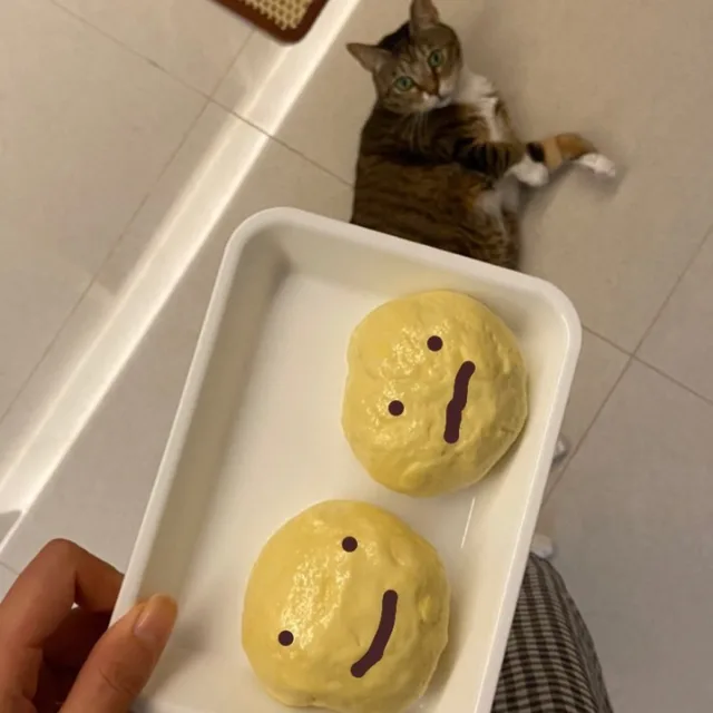 망망개
