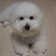 타미