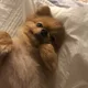 별이느나