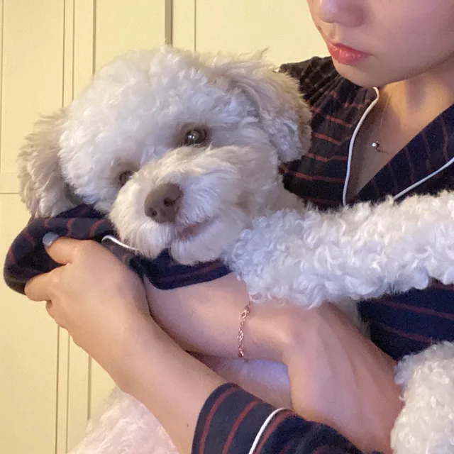 토리이모