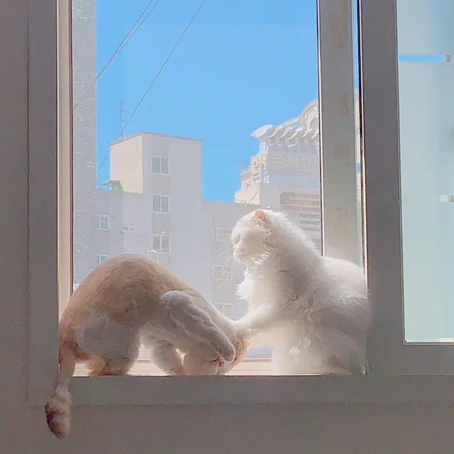 깨심맘