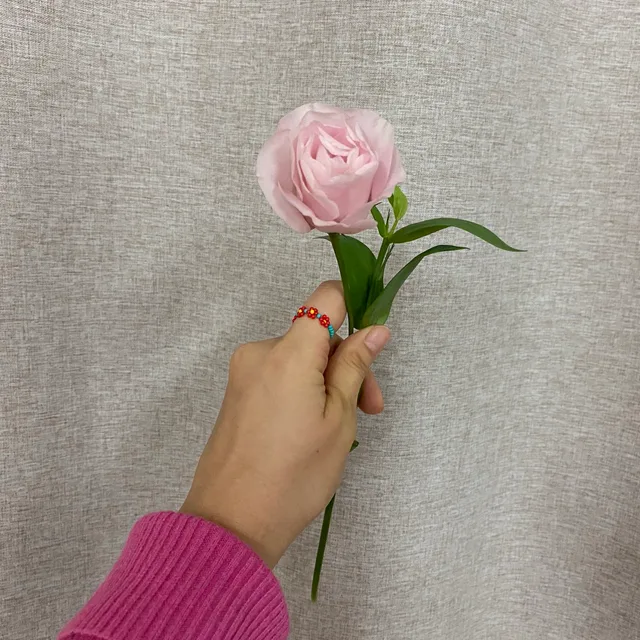 클리비