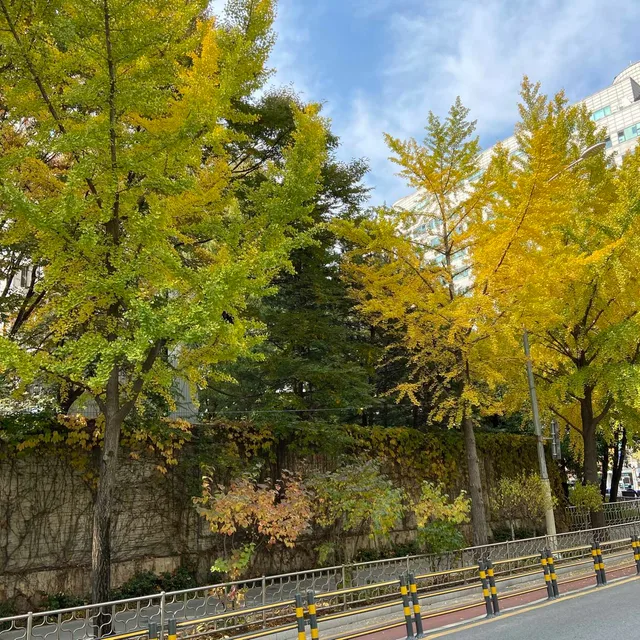 봉봉123