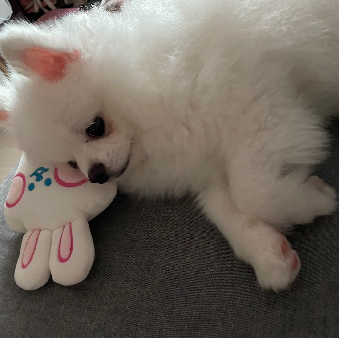 어피치