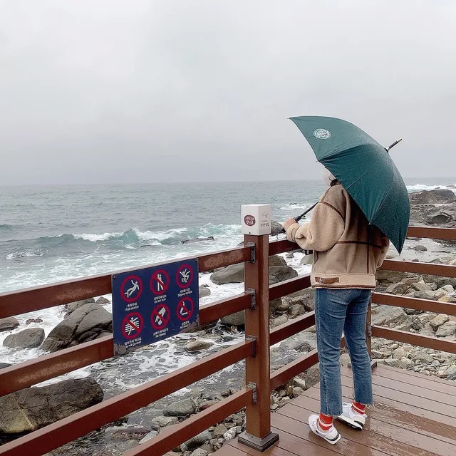 큐키큐키