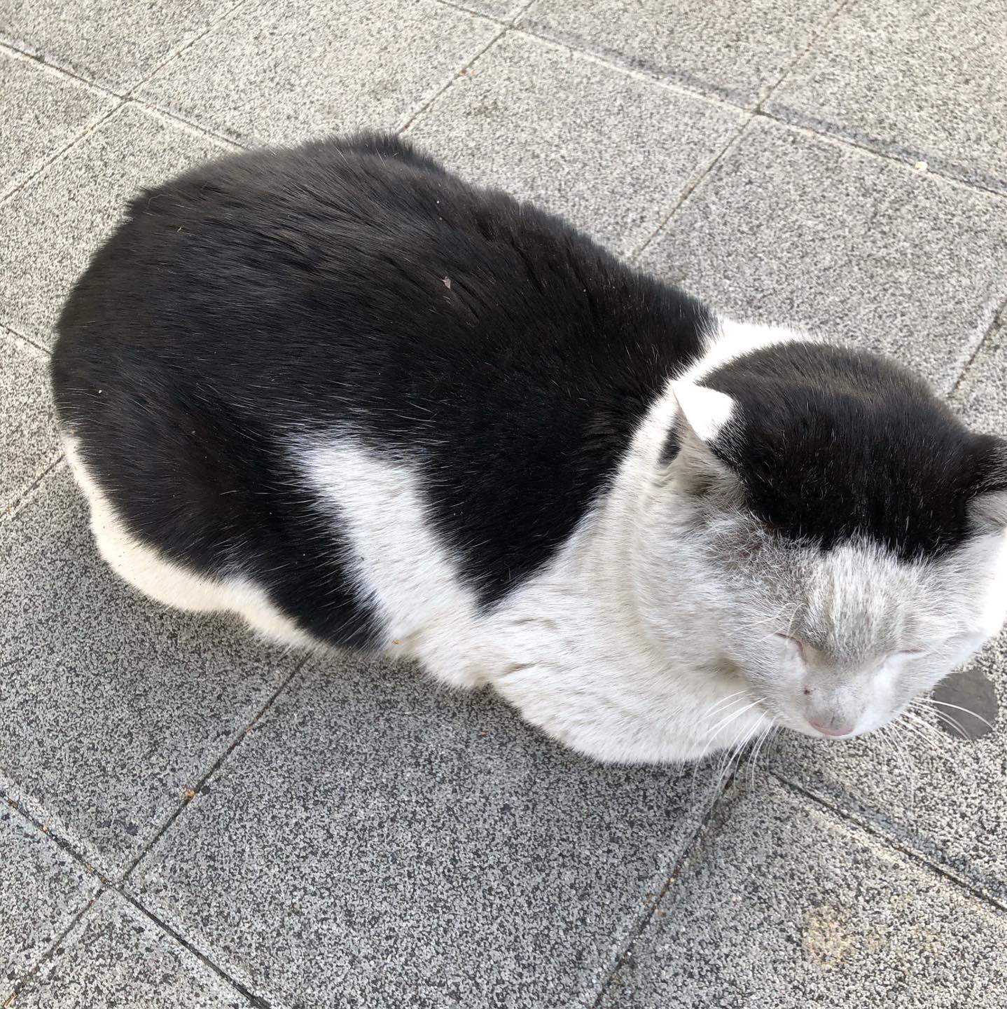 뭘로할까