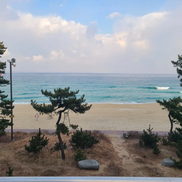 맑음v