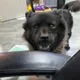 루루
