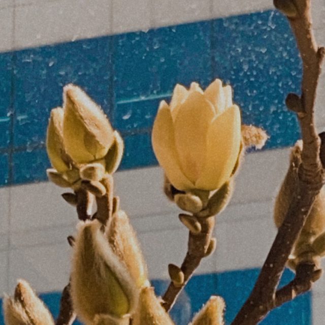 리뷰 프로필 이미지