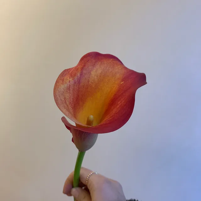 배고파