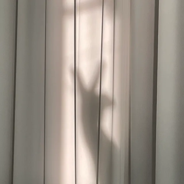 설탕공장