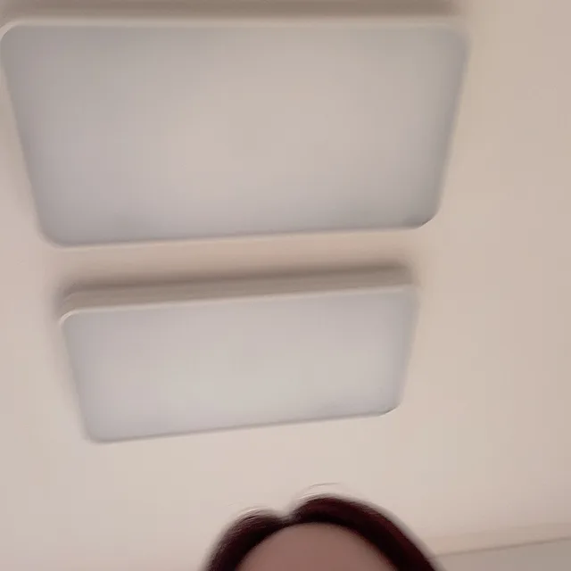 투니