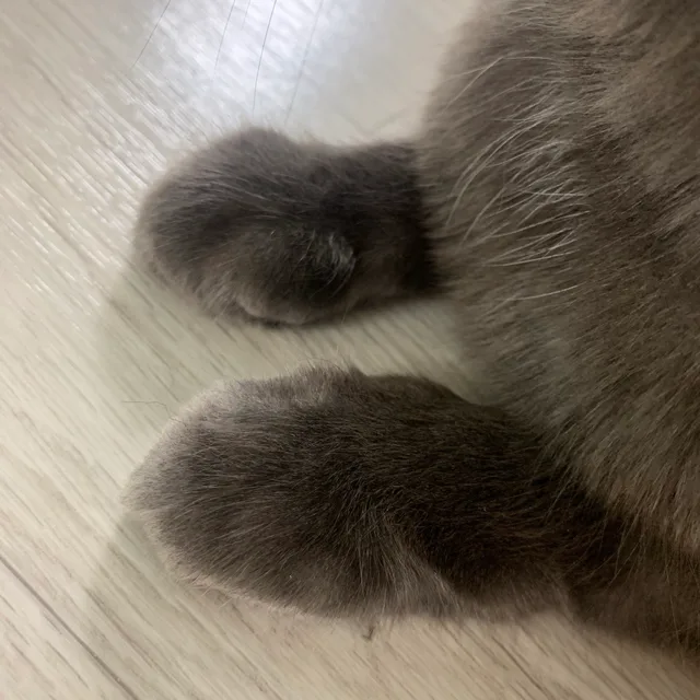 냠냠