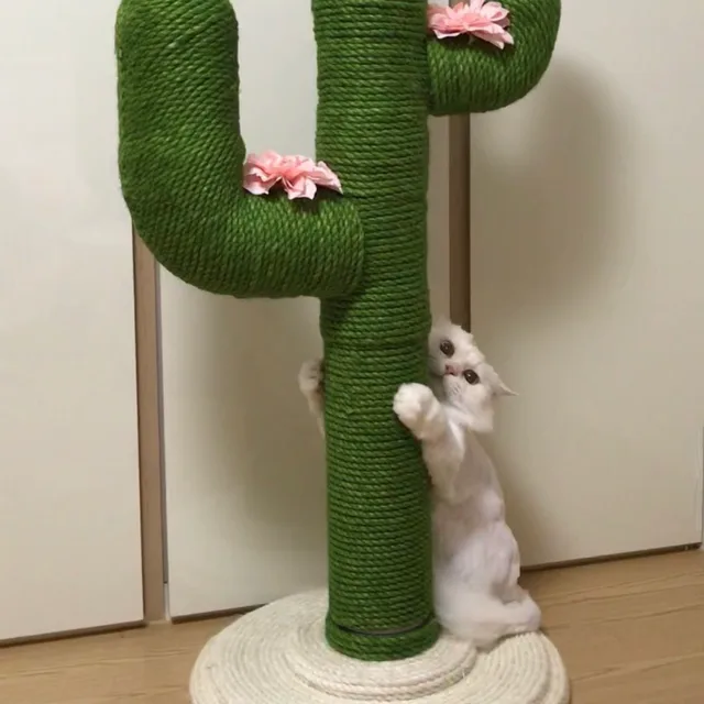 새다
