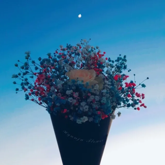 쿡키