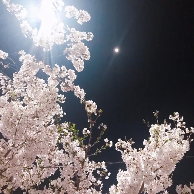은유