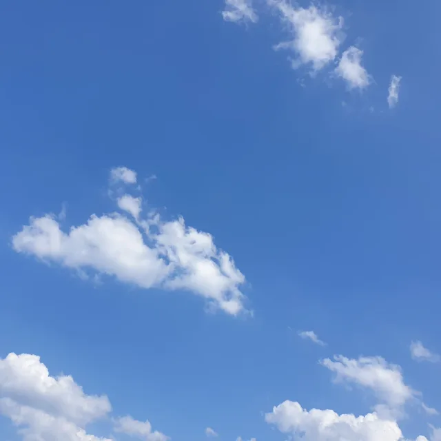 파란하늘