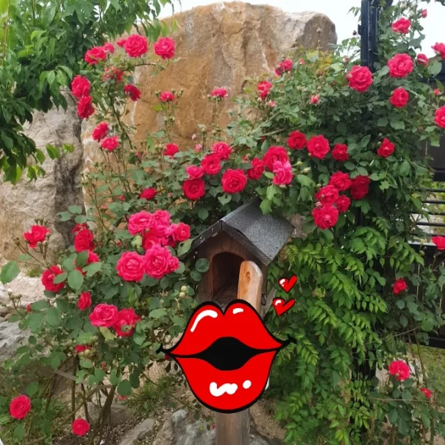 잘살아보세