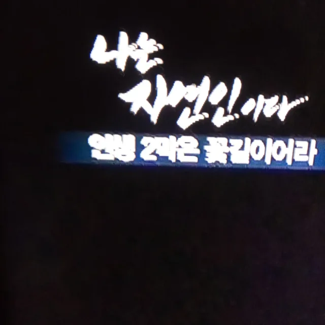 자연인