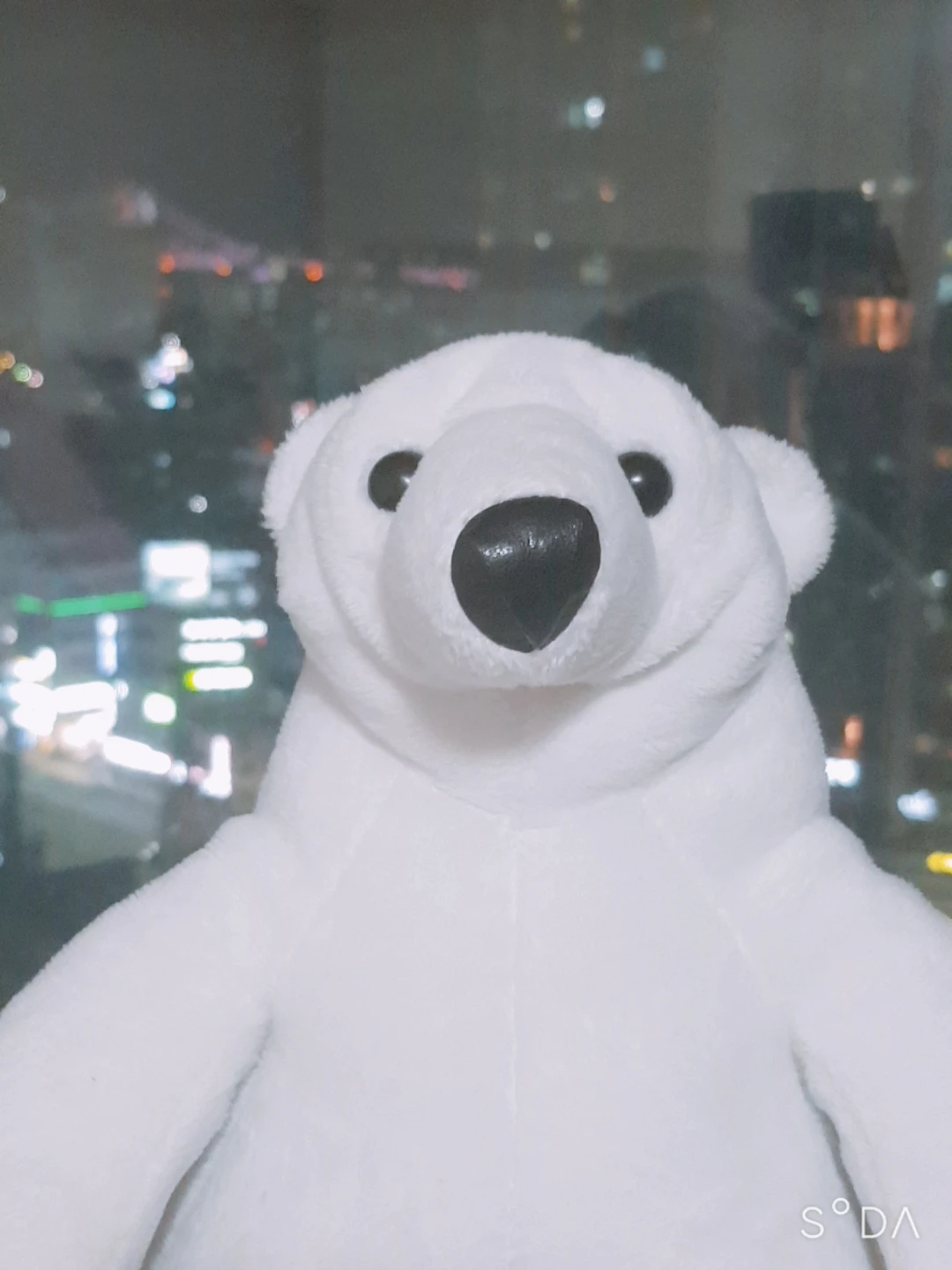 코코콜라