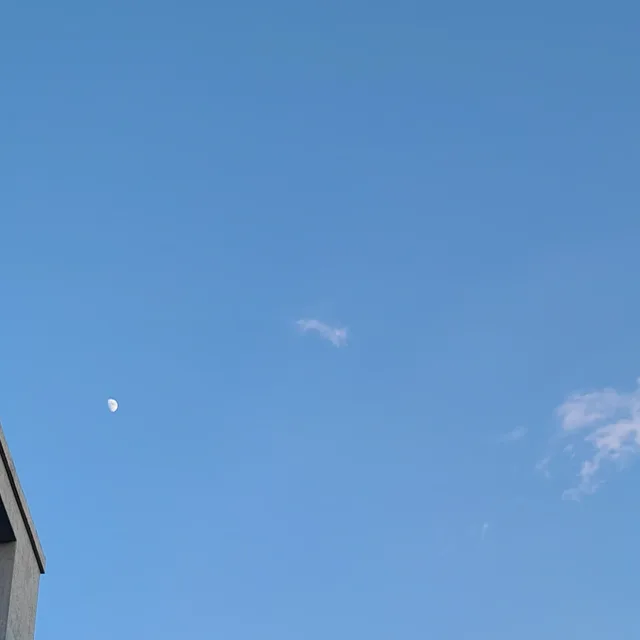 당근당근