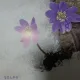삼국지