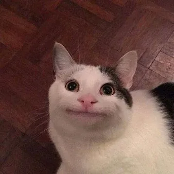 삐뇻