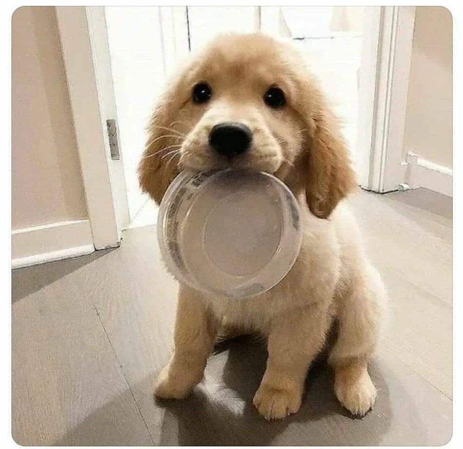 구름빵