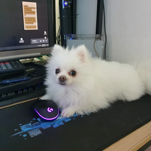 에디